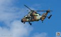 tigre_7671