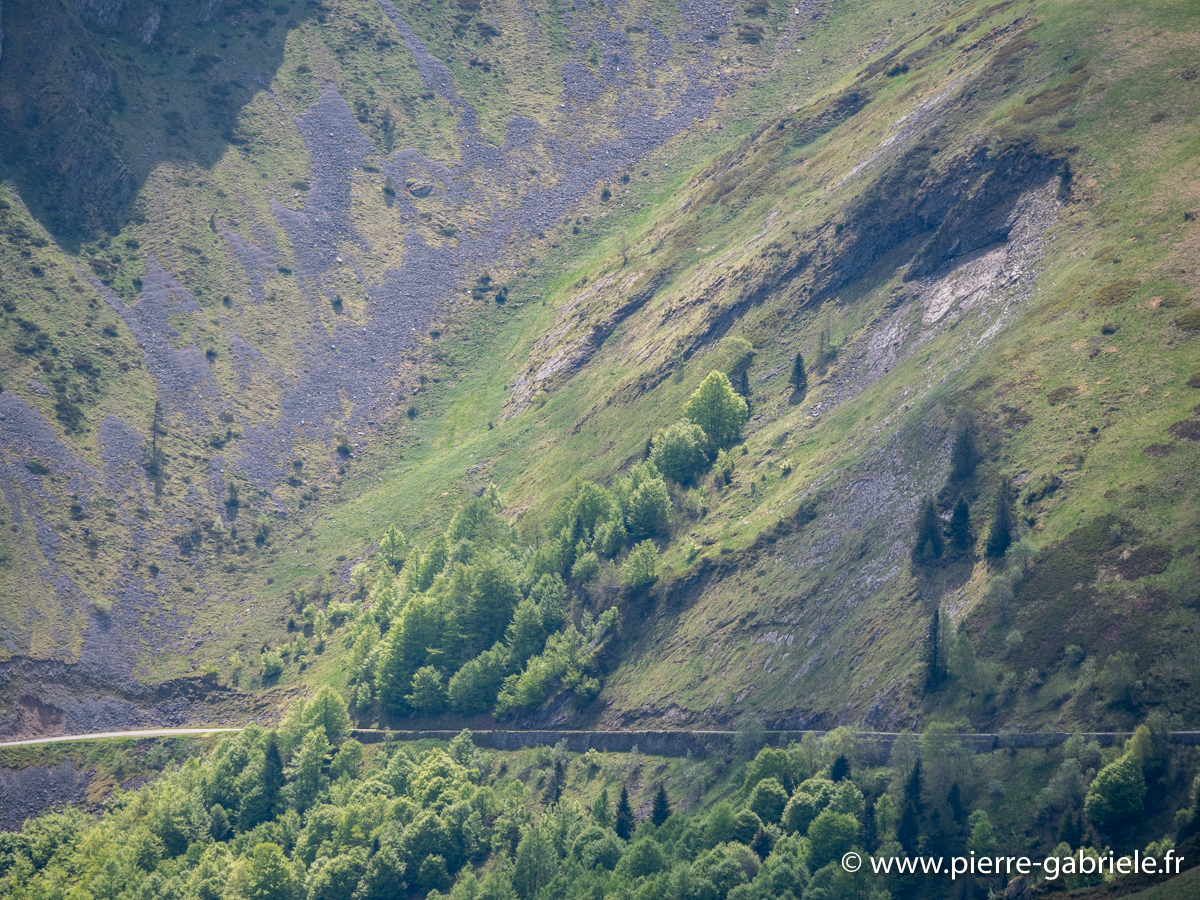 aubisque-g93_8150.jpg
