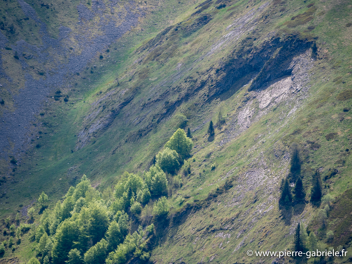 aubisque-g93_8164.jpg