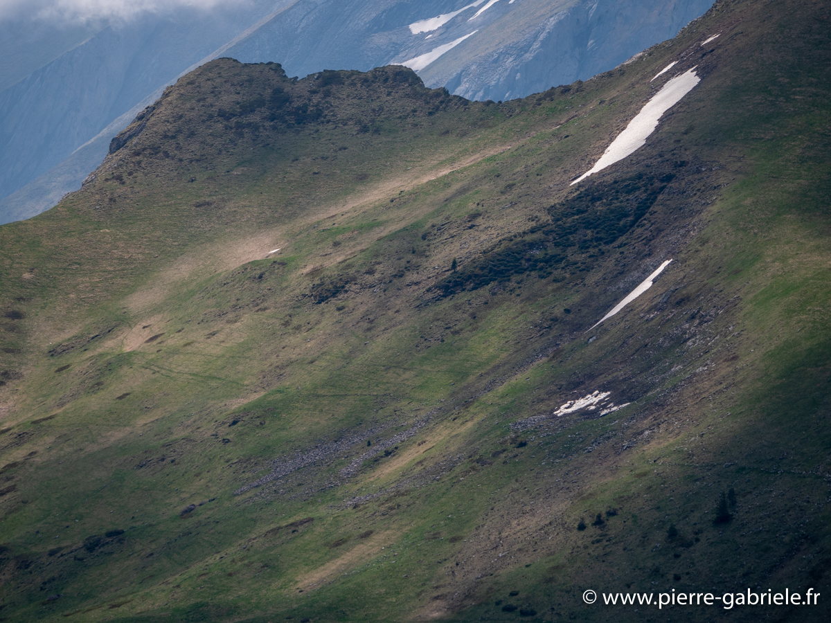 aubisque-g93_8165.jpg