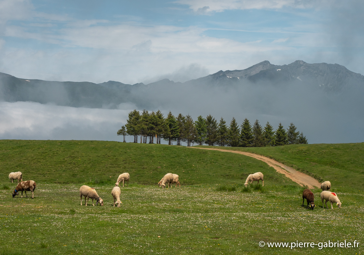 aubisque-soulor-g92_2044.jpg