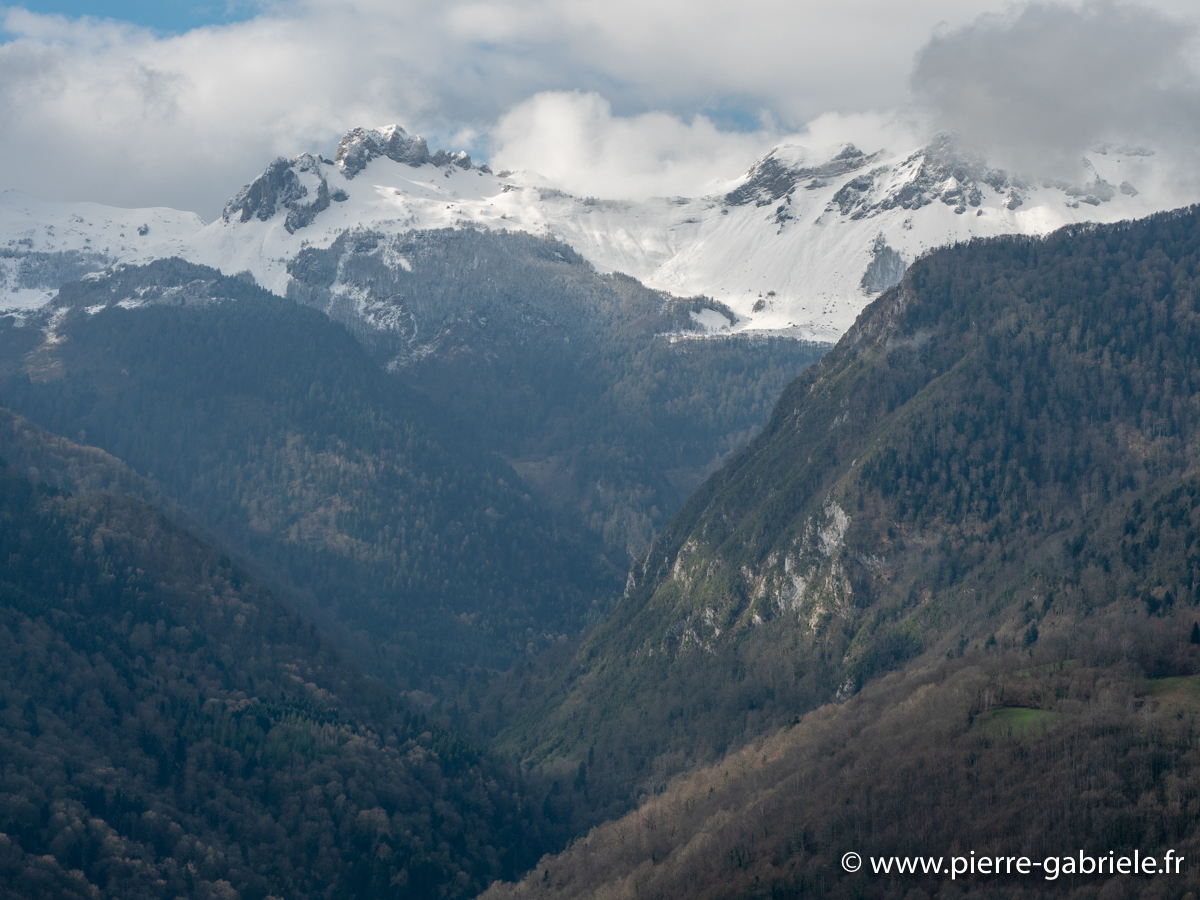 benou-g92_1683.jpg