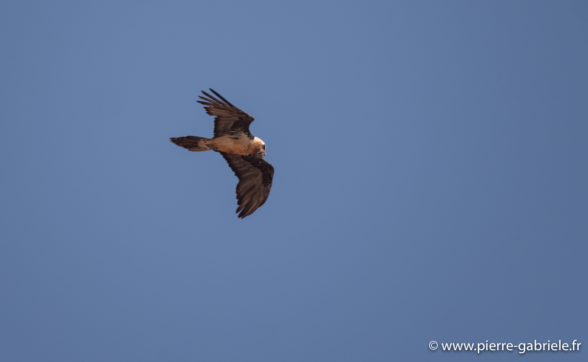 laberouate-leica-g93_7341.jpg