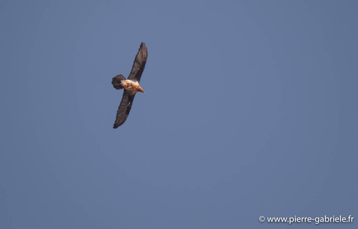 laberouate-leica-g93_7349.jpg