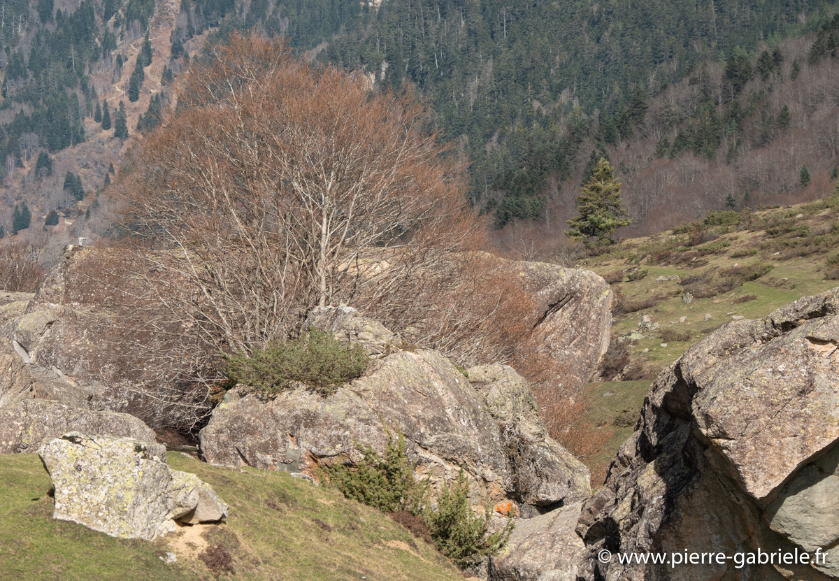 lepourtalet-g92_1569.jpg