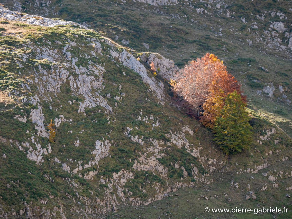 lepourtalet-g92_2625.jpg