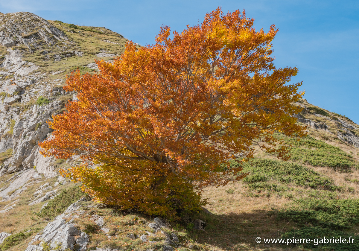 lepourtalet-g92_2629.jpg