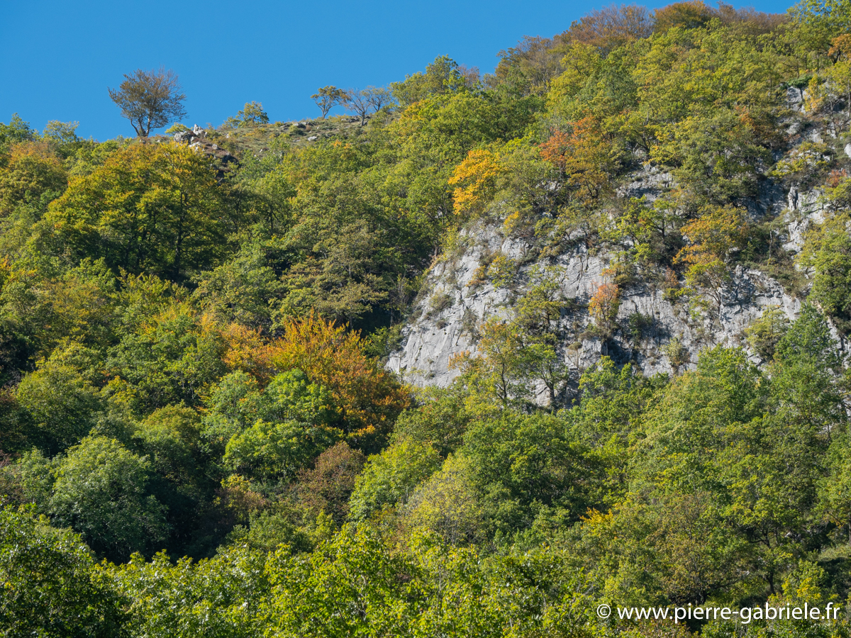 lescun-g92_2539.jpg