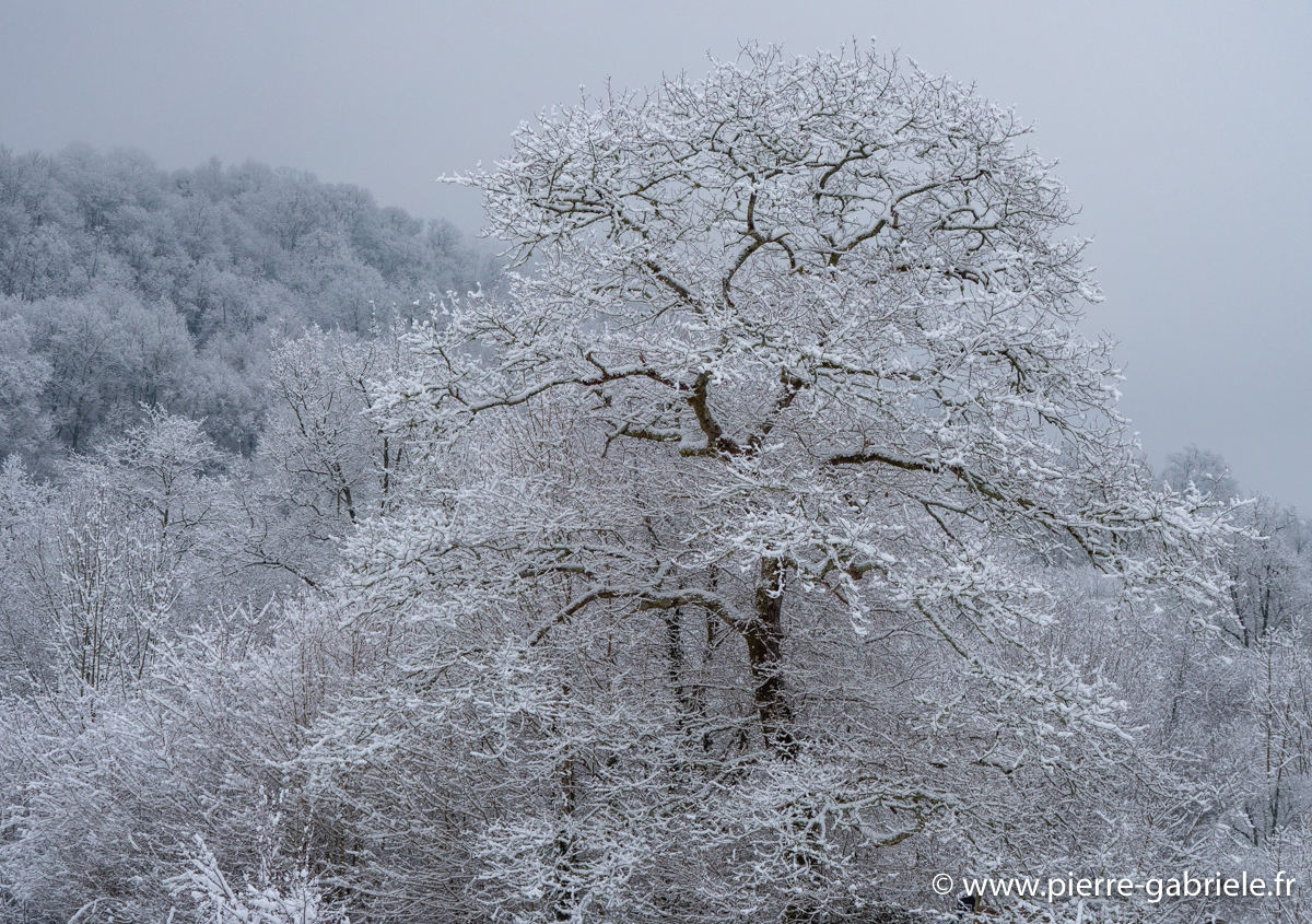 neige-g92-12-100_1495.jpg