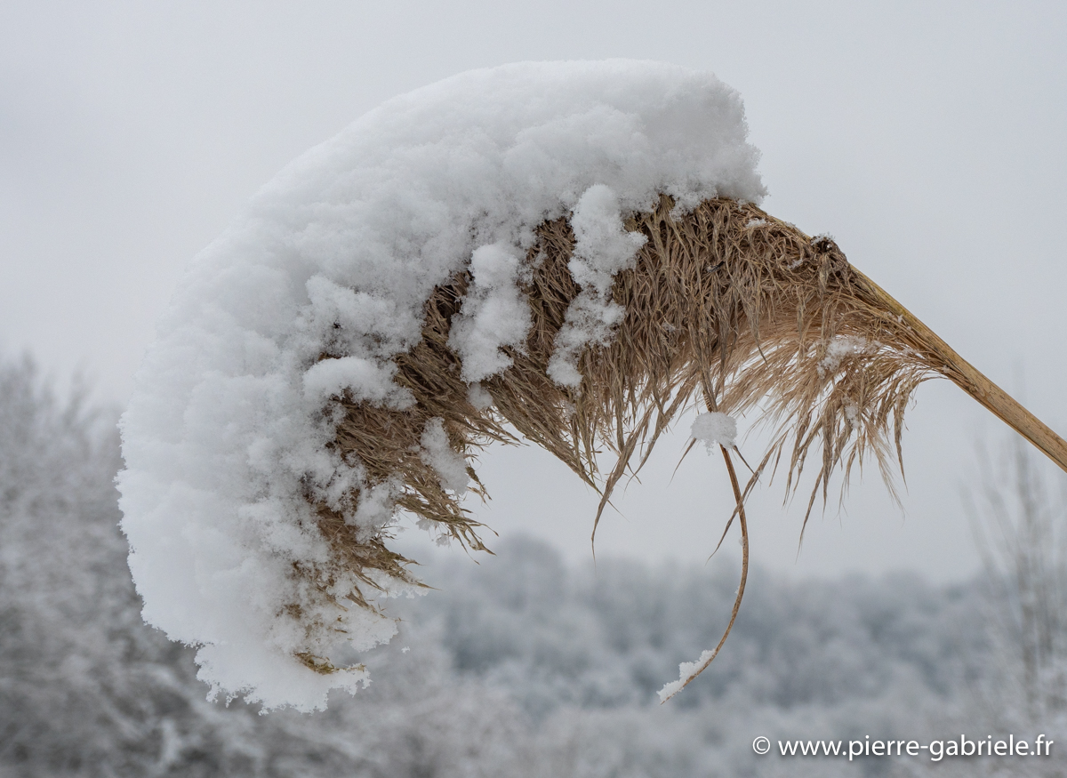 neige-g92-12-100_1501.jpg