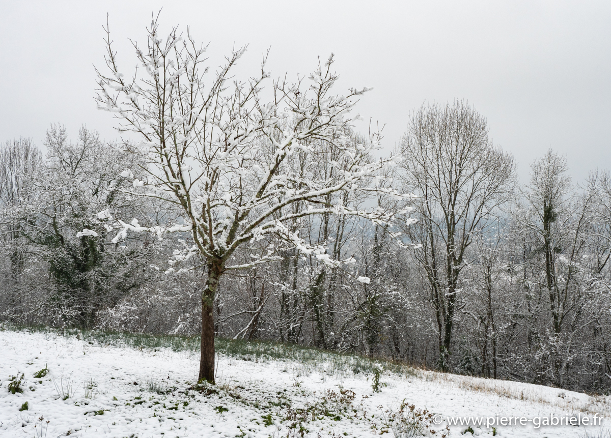 neige-g92-12-100_1514.jpg