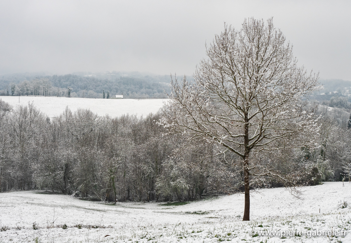 neige-g92-12-100_1517.jpg