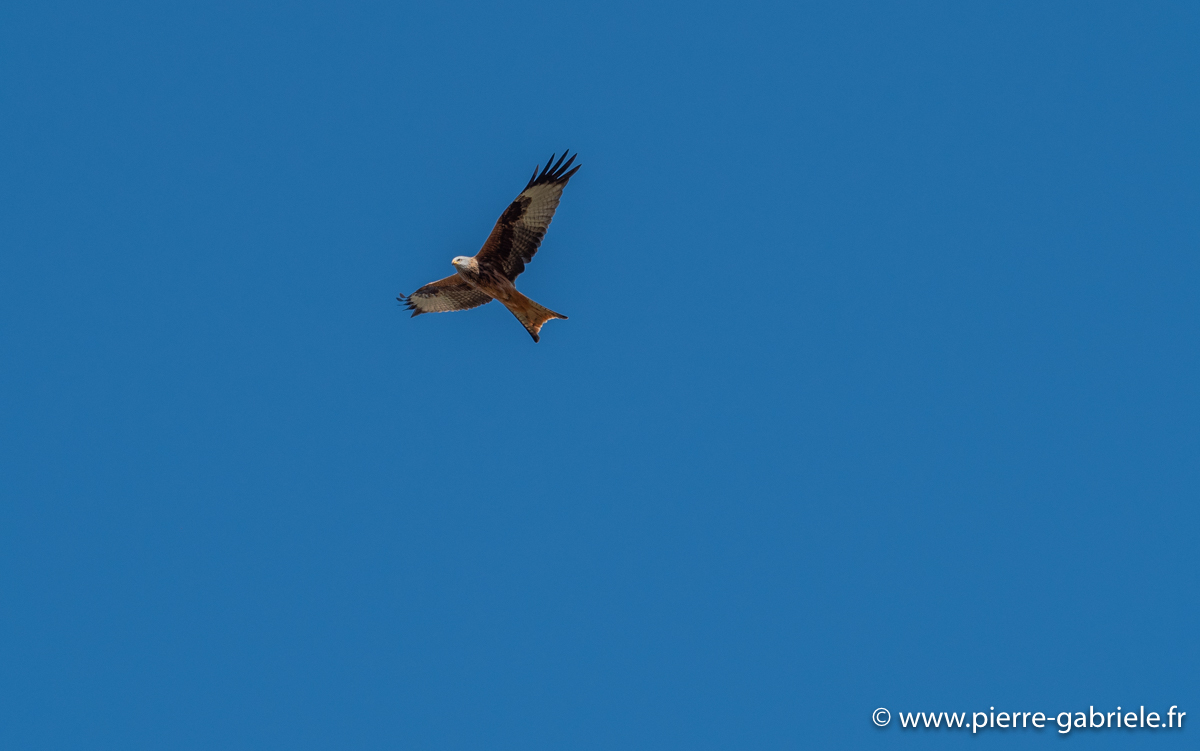 pays-basque-g91_1569.jpg