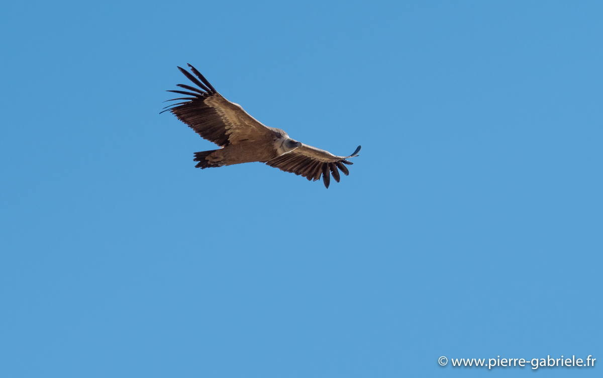 pays-basque-g91_1573.jpg
