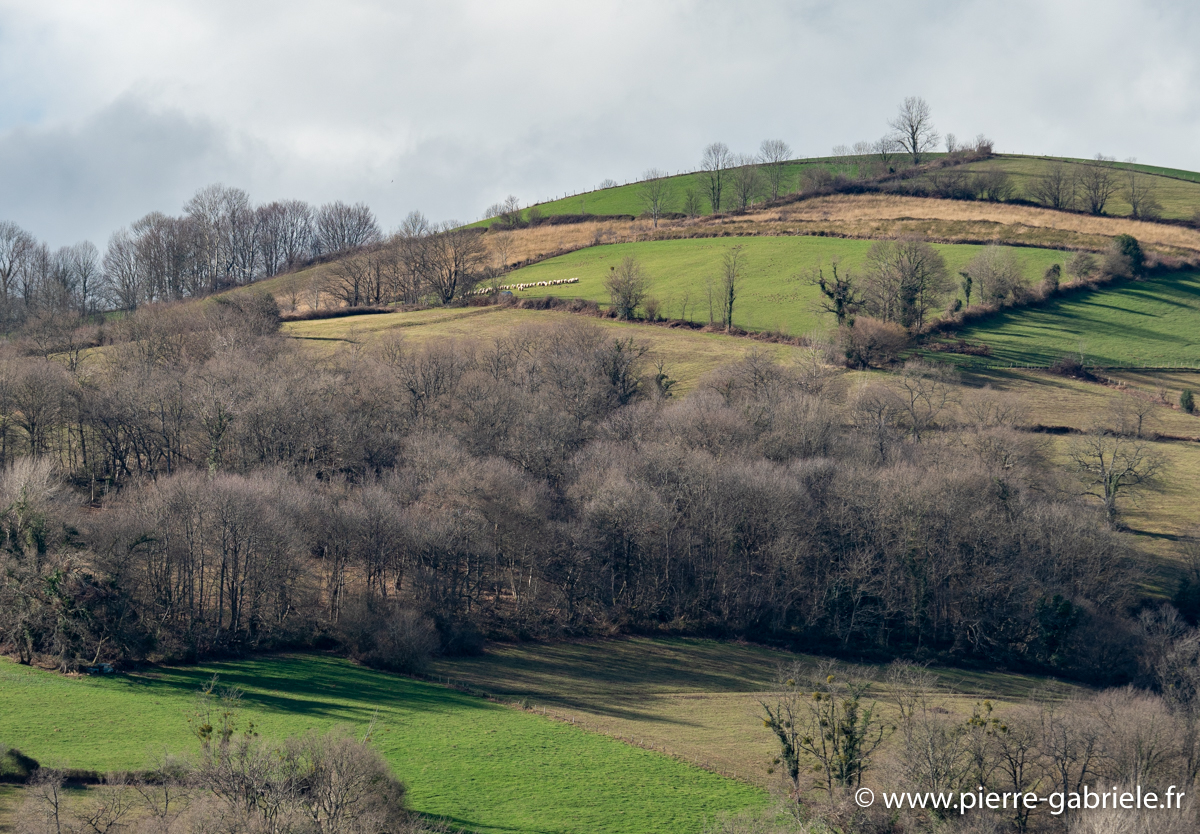 pays-basque-g91_9644.jpg