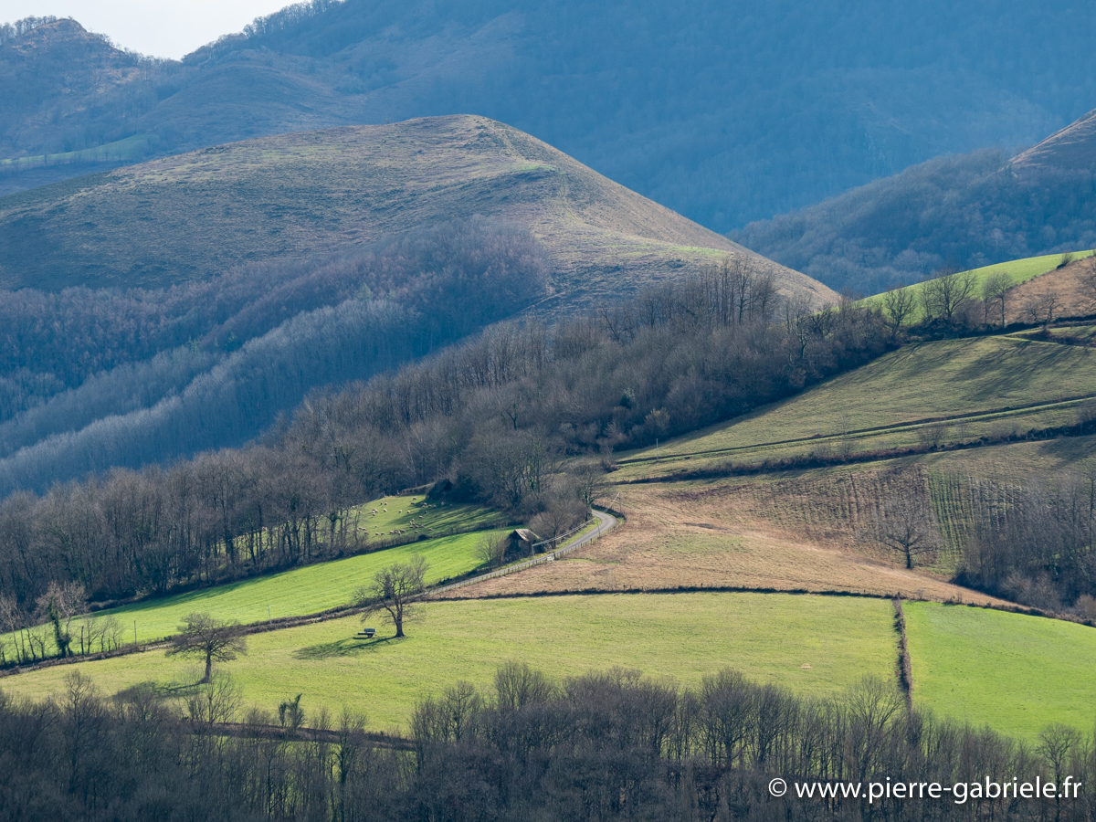 pays-basque-g91_9646.jpg