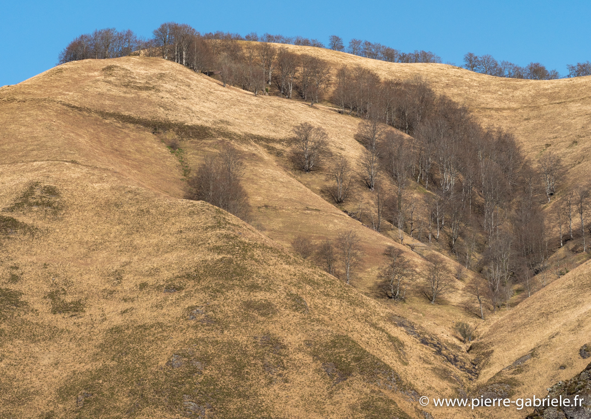pays-basque-g91_9664.jpg