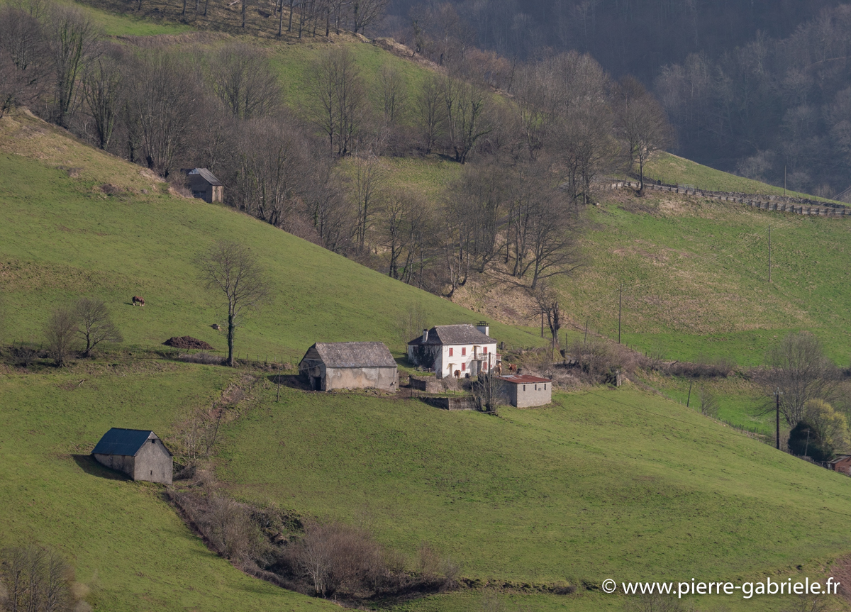 pays-basque-g91_9665.jpg