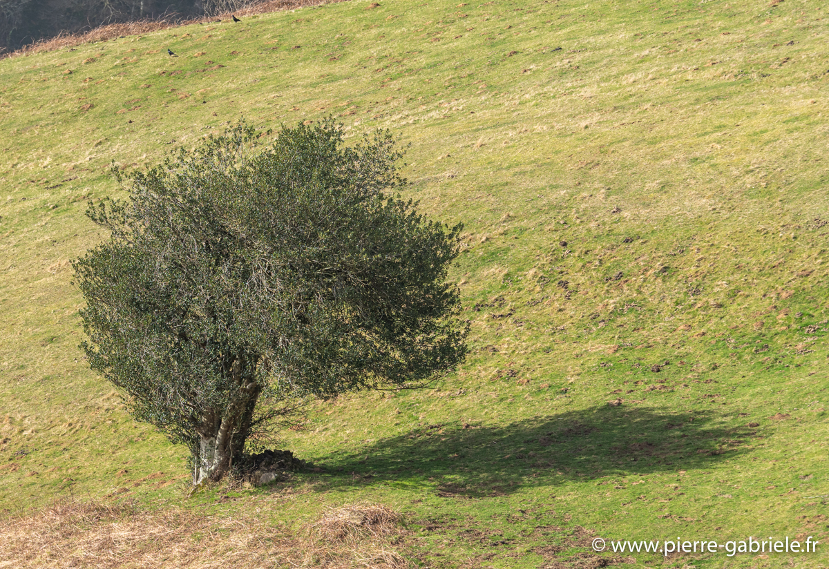 pays-basque-g91_9673.jpg