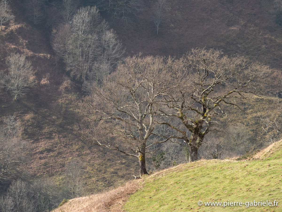 pays-basque-g91_9674.jpg