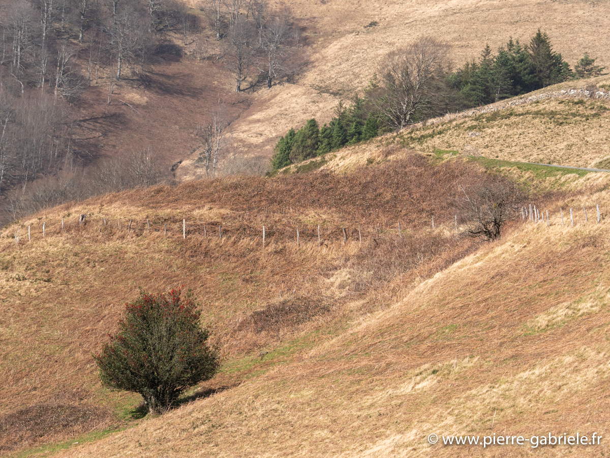 pays-basque-g91_9675.jpg