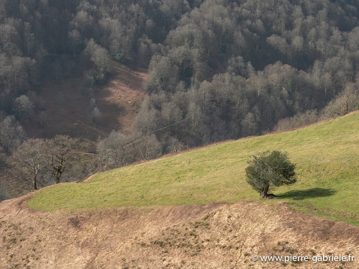 pays-basque-g92_1592.jpg