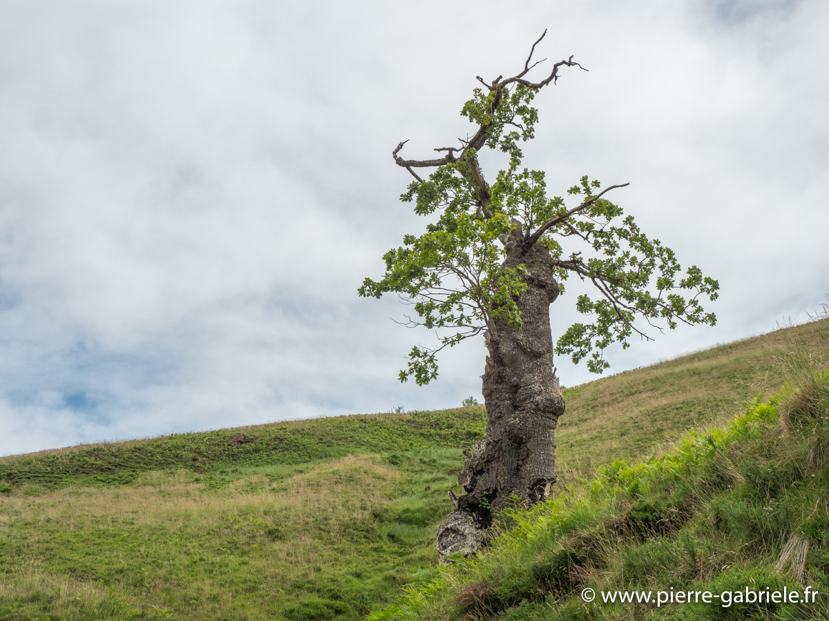 pays-basque-g92_2106.jpg
