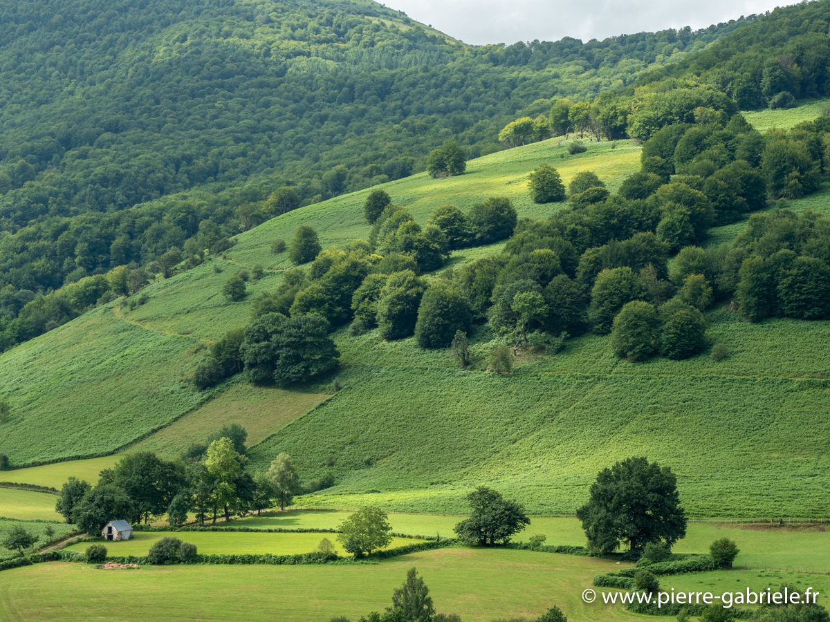 pays-basque-g92_2176.jpg