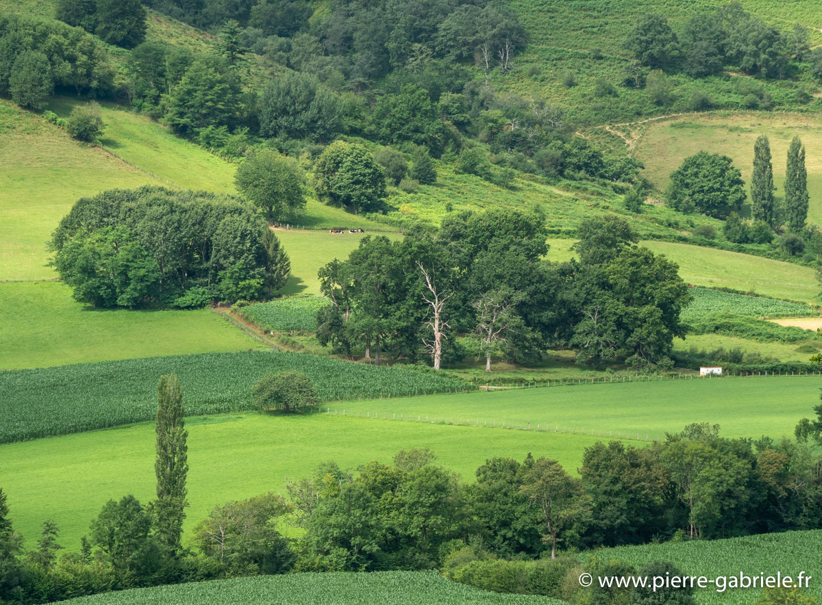 pays-basque-g92_2179.jpg