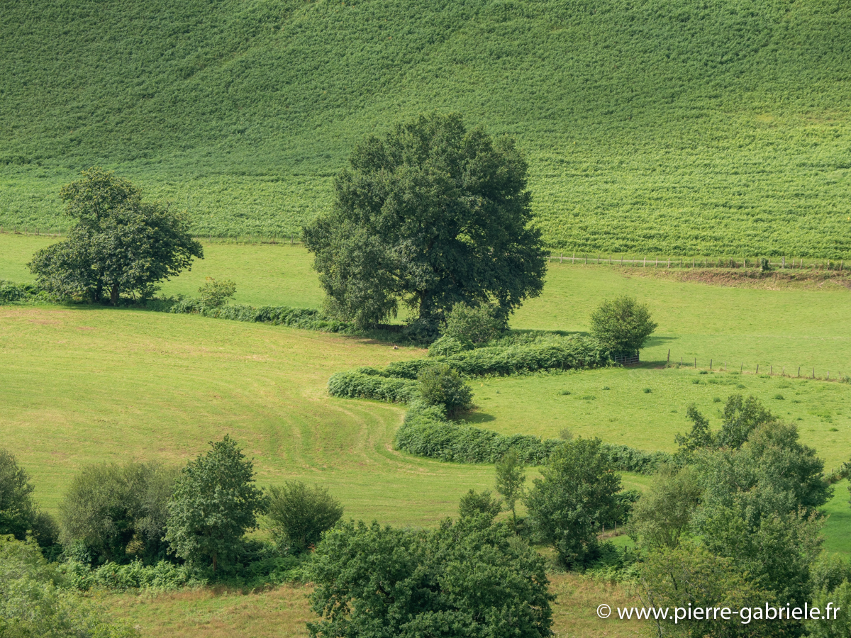 pays-basque-g92_2181.jpg