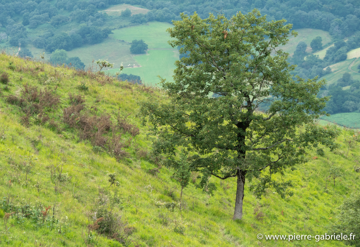 pays-basque-g92_2185.jpg