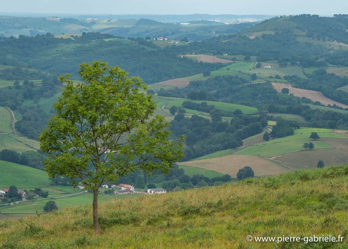 pays-basque-g92_2189.jpg