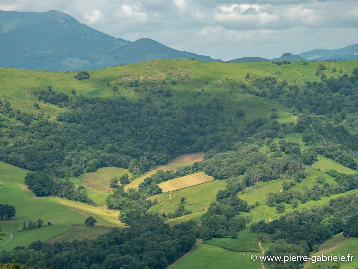 pays-basque-g92_2198.jpg