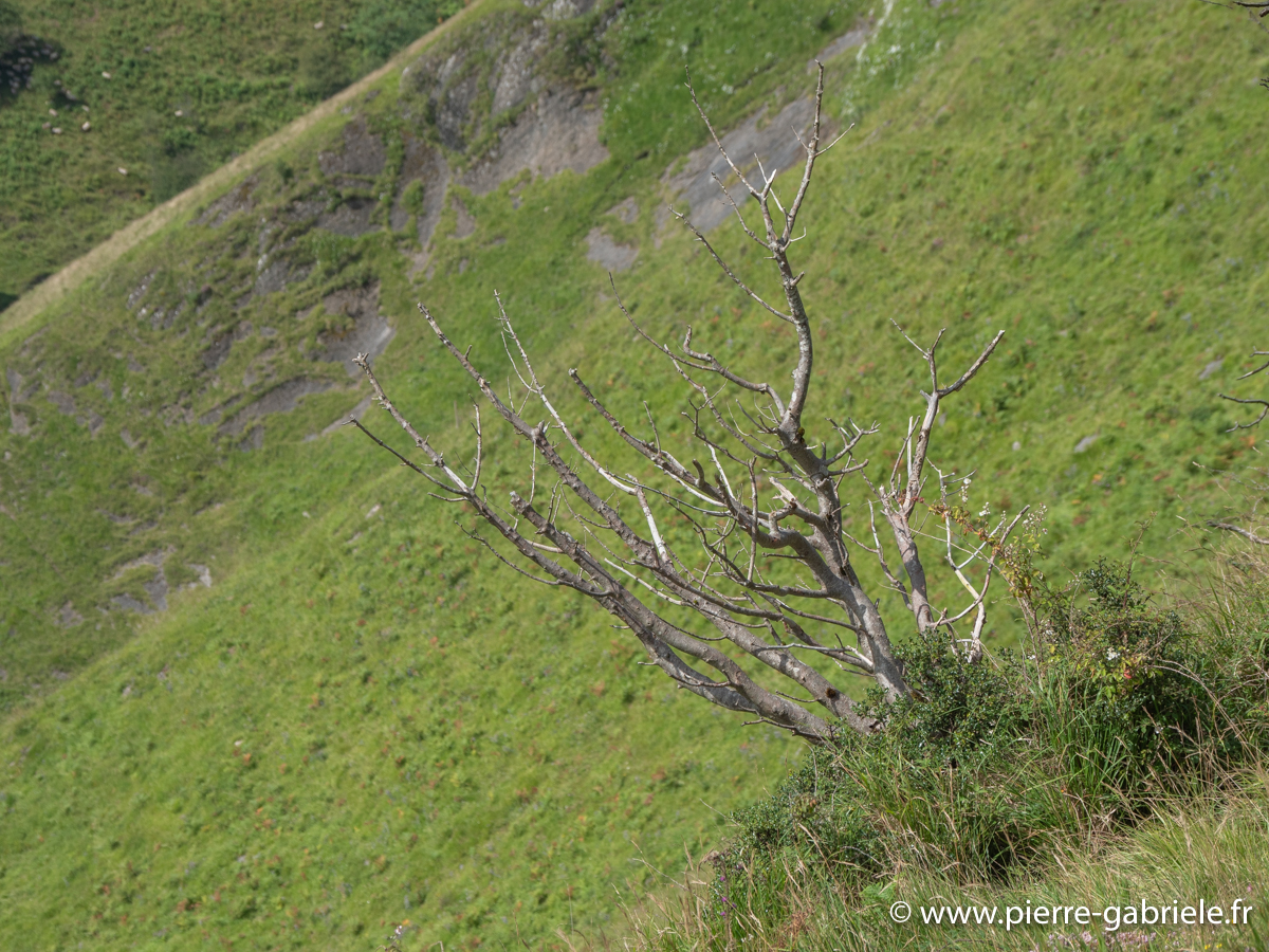 pays-basque-g92_2311.jpg