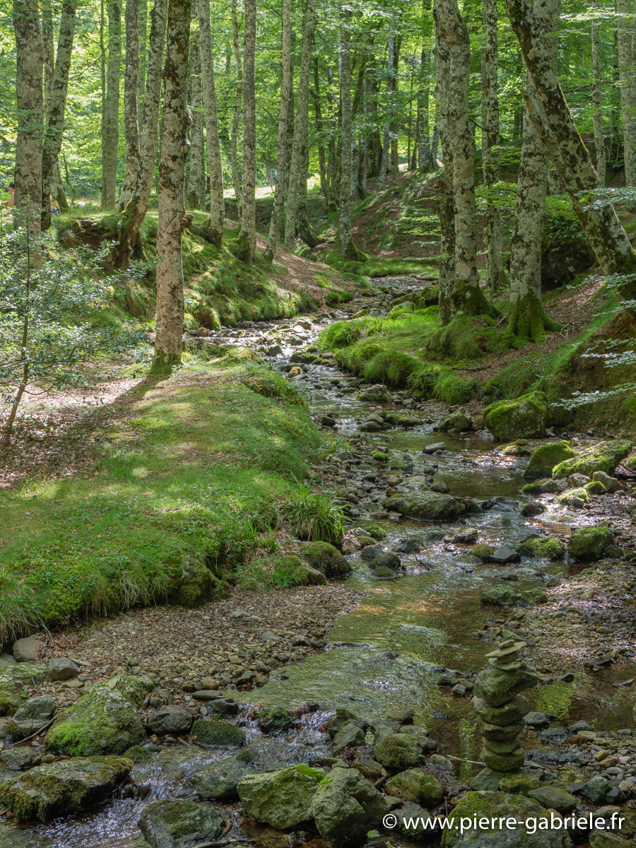 pays-basque-g92_2314.jpg