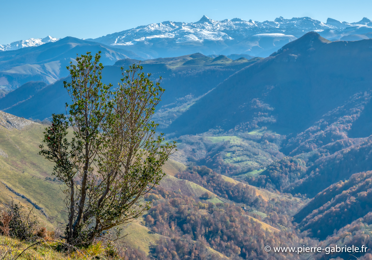 pays-basque-g92_2763-Modifier.jpg