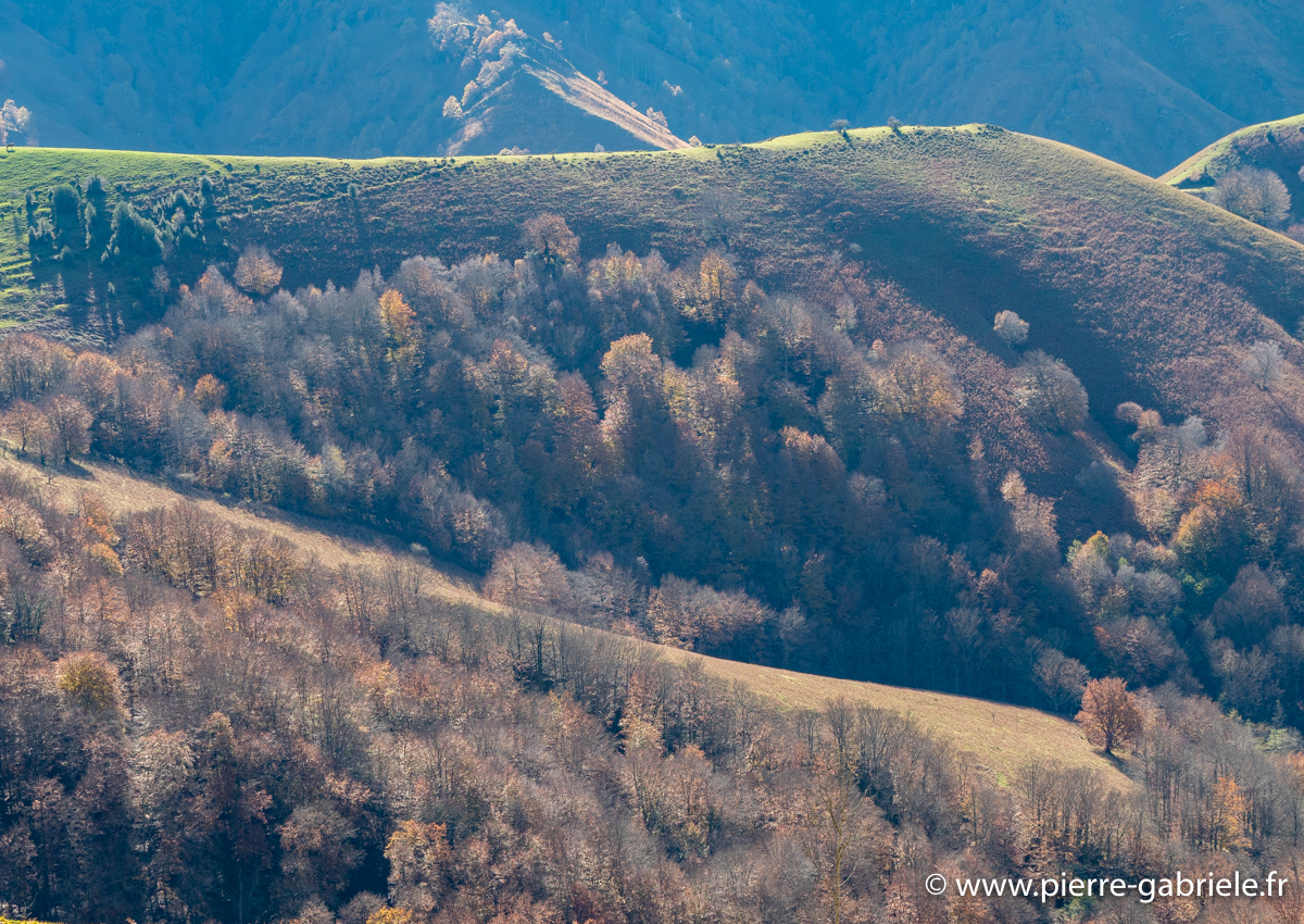 pays-basque-g92_2765.jpg