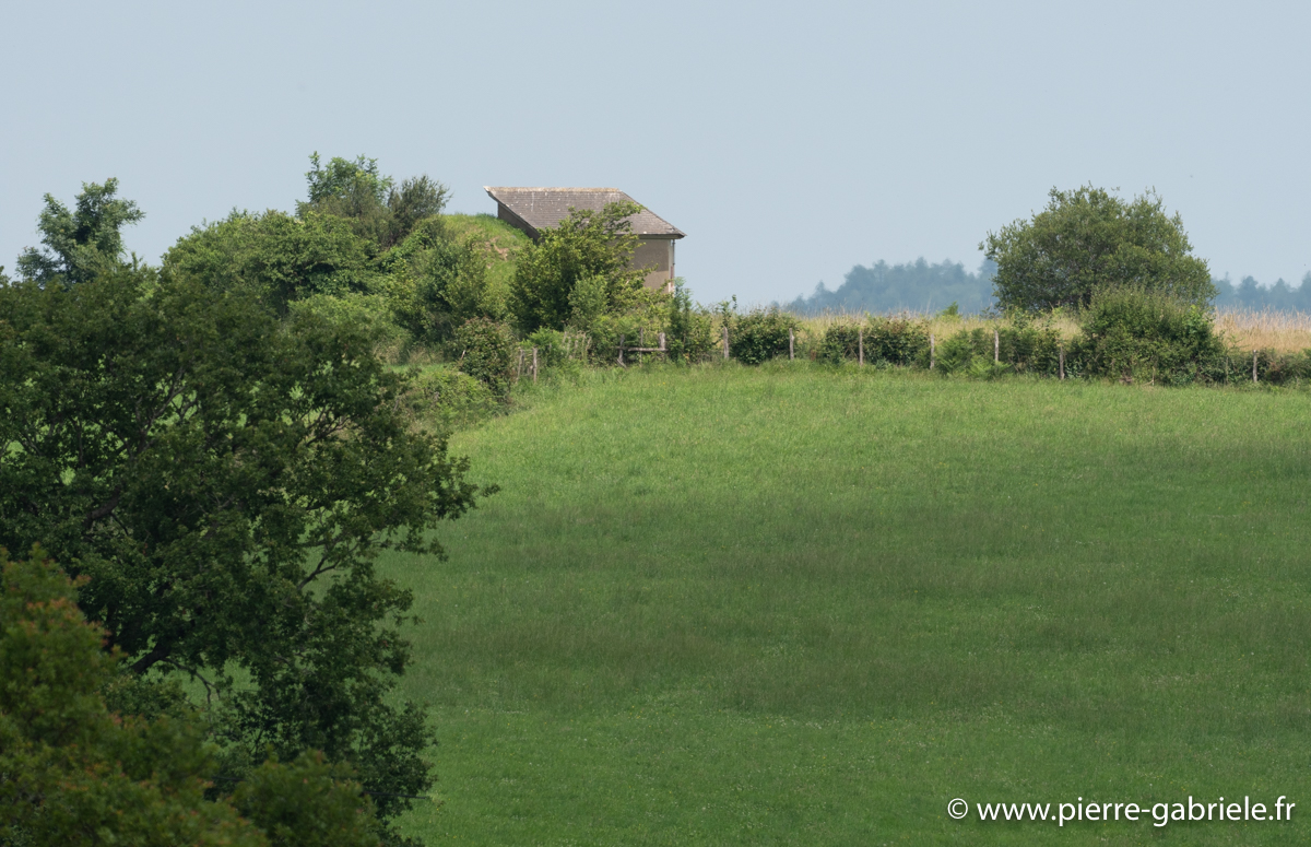 pays-basque-g93_9494.jpg