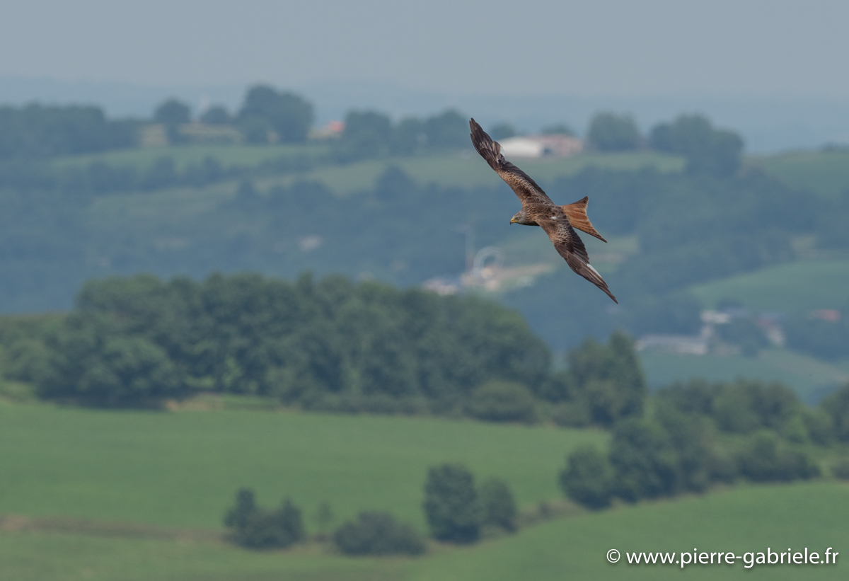 pays-basque-g93_9495.jpg
