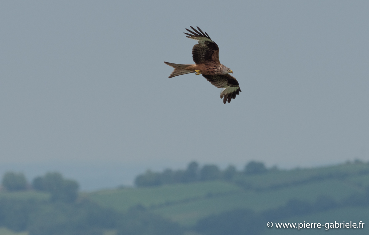 pays-basque-g93_9496.jpg