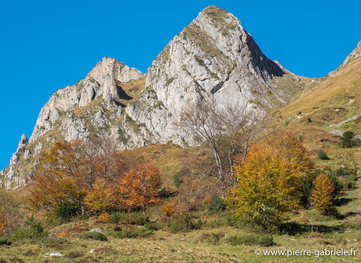 soulor-g92_2667.jpg