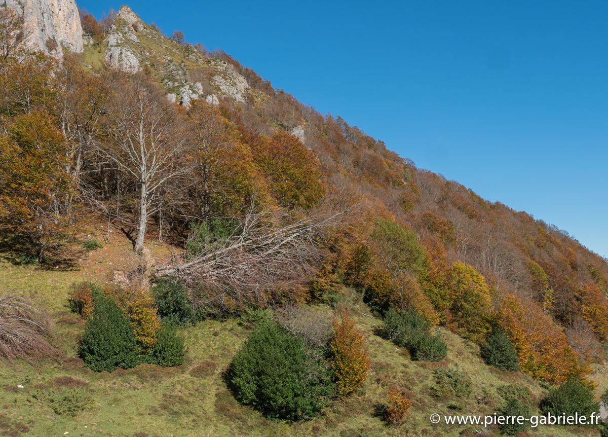 soulor-g92_2669.jpg