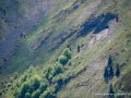 aubisque-g93_8164
