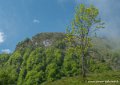 aubisque-soulor-g92_2036