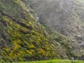 aubisque-soulor-g92_2051