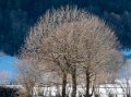 benou-g91_9617