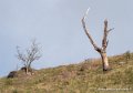 benou-g92_1681