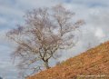 benou-g92_1682
