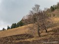 benou-g92_1699