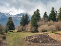 benou-g92_1703